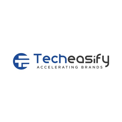 TechEasify - Facebook Marketing Company in Surat