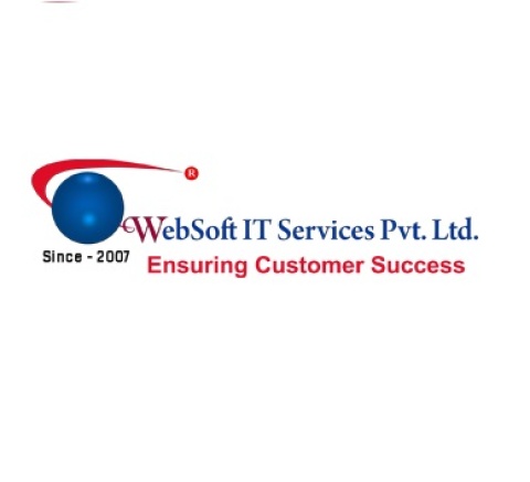 Websoft IT Services Private Limited