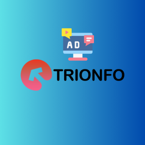 Trionfo Services - Top Google Ads Agency in Delhi