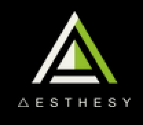 https://aesthesy.com/