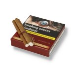 Filtered Cigars Bundle USA