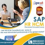 Best SAP HR HCM Online Training in Hyderabad | Igrowsoft