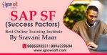 SAP Success Factors training and placement Assistance | Igrowsoft