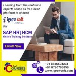 SAP HR HCM Course in Hyderabad | Igrowsoft