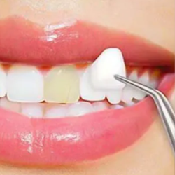 ONE DENTALL DENTAL SERVICE (BELAGAVI)