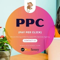 DigiSensy - Best Digital Marketing Agency in Lucknow
