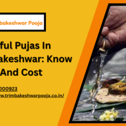 Trimbakeshwar Pooja