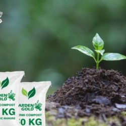 Why Farmers Choose Vermicompost in Organic Farming
