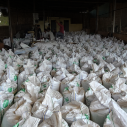 Premium Organic Fertilizer 50 Kg Vermicompost Bag for Healthy Plants