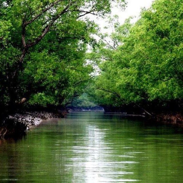 Sundarban Tour Packages