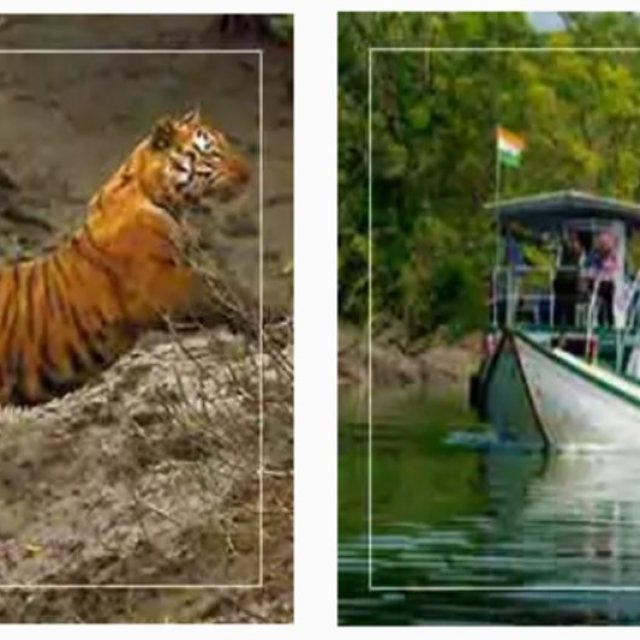 Book Sundarban Tour Packages | BR Holidays