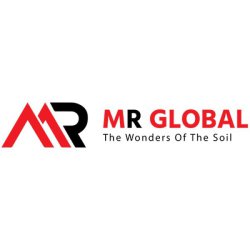 MR Global