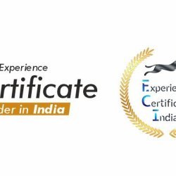 Trusted Experience Certificate Provider in India