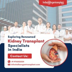 lowest price for kidney transplant surgery in India