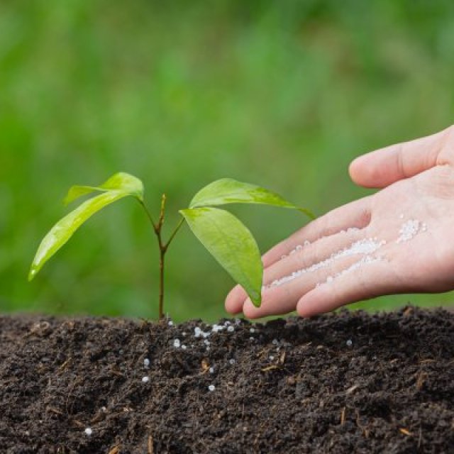 Boost Your Crops with Organic Natural Fertilizer - Sustainable Farming Solutions